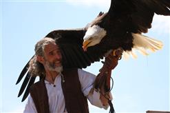 Puy du fou